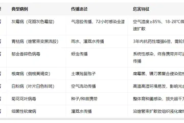 花卉商业育种企业种苗病害频发原因？如何高效防控提高品质？